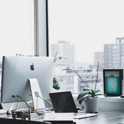 Local business growth results